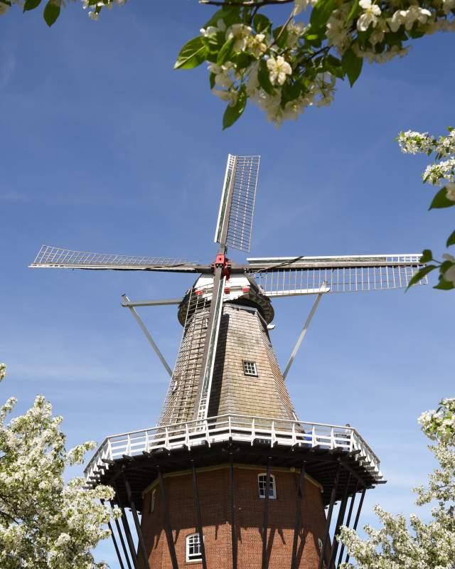 Visit Windmill Island Gardens in Holland, Michigan
